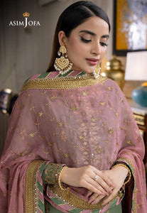 Heavy Embroidered  Asim Jofa chiffon